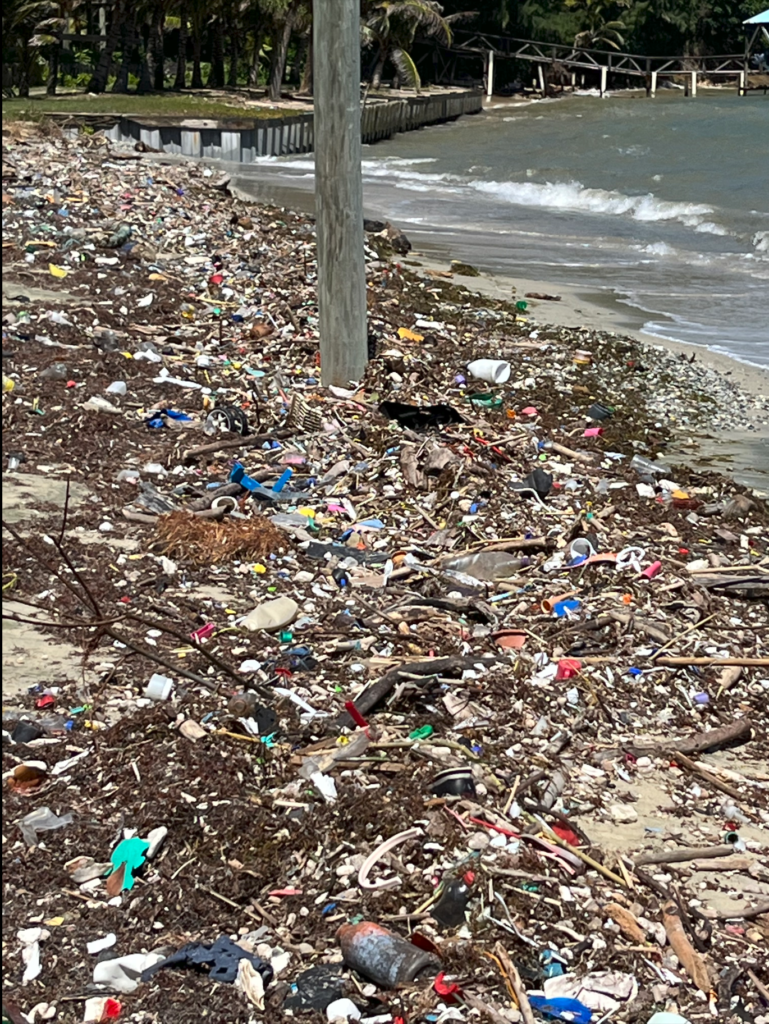 Garbage in beach